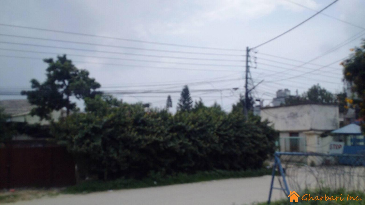Real Estate Company